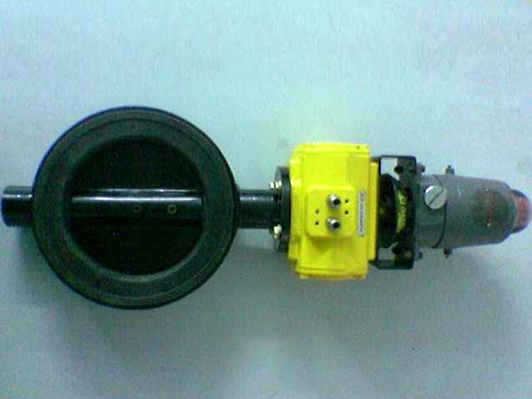 Inlet Valves